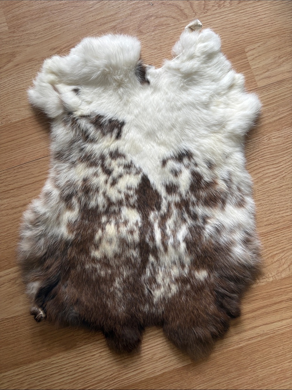 B0154 Natural Spotted Rabbit Fur Pelt - Cream and Brown